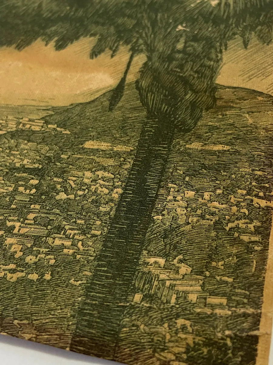 Gravura Antiga Pão De Açucar - Rio De Janeiro 28x16,5cm