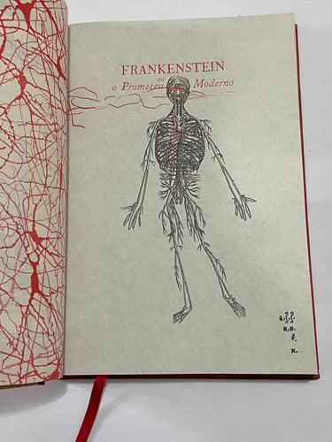 Livro Frankenstein Mary Shelley Editora Darkside Edição Luxo