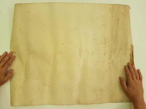 Diploma Antigo Sociedade Portuguesa Beneficente Copag