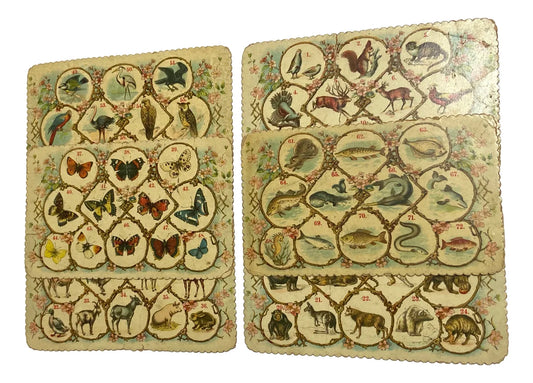 Cartelas Antigas Alemãs J.w.s. S Bavaria Animais E Insetos