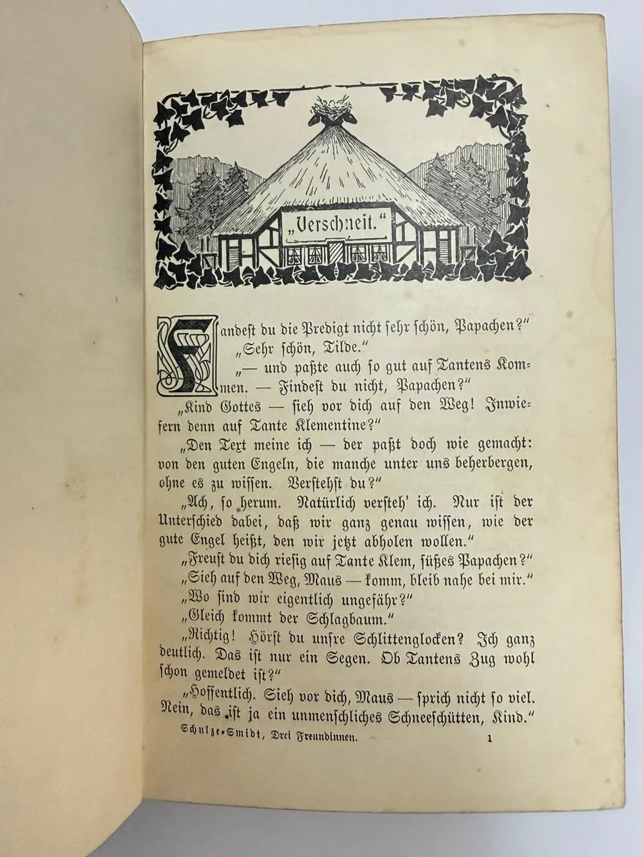 Livro Antigo Alemão Drei Freundinnen 1890 Ilustrado